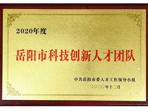 岳陽(yáng)市科技創(chuàng  )新人才團隊 2020年