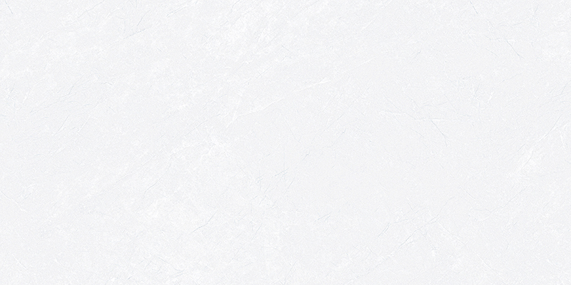 D612202 D12P202Z