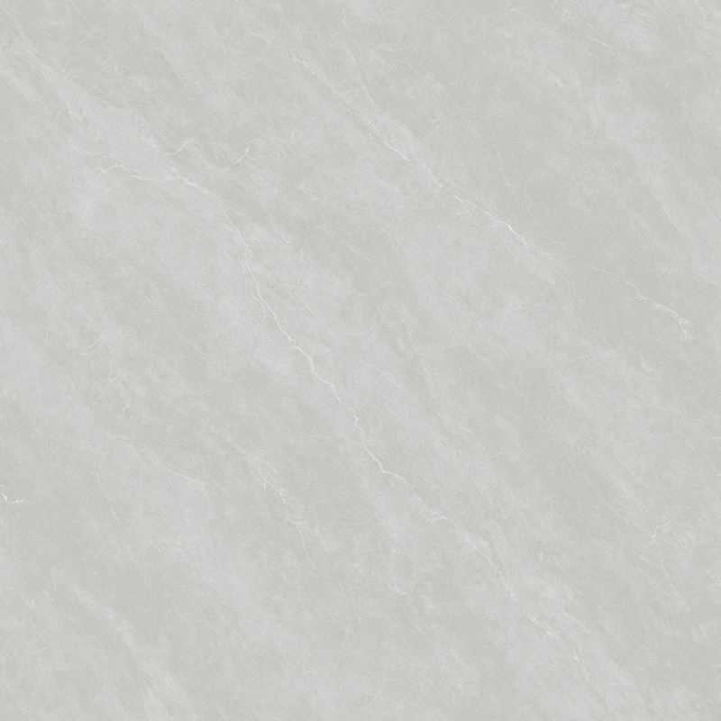 D88P210T